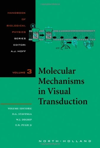 Molecular Mechanisms in Visual Transduction (Volume 3) (Handbook of Biological Physics, Volume 3)