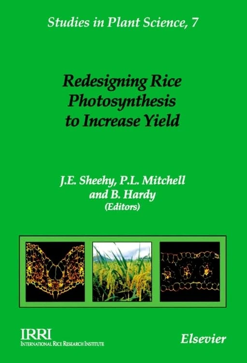 Redesigning Rice Photosynthesis to Increase Yield (Volume 7) (Studies in Plant Science, Volume 7)