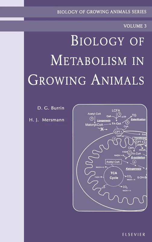 Biology of Metabolism in Growing Animals: Biology of Growing Animals Series (Volume 3)