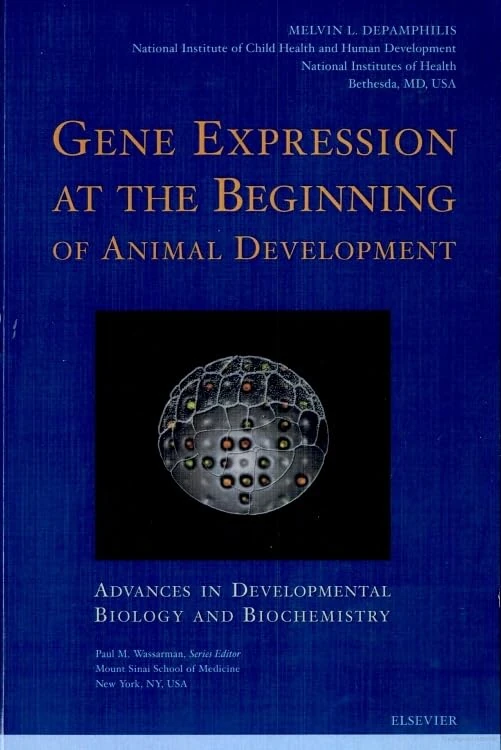 Gene Expression at the Beginning of Animal Development (Volume 12) (Advances in Developmental Biology, Volume 12)