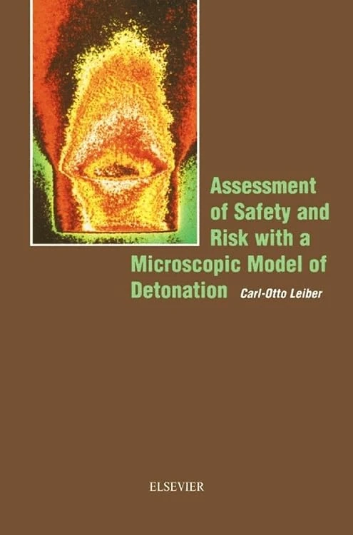 Assessment of Safety and Risk with a Microscopic Model of Detonation