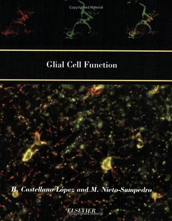 Glial Cell Function (Paperback) (Progress in Brain Research)
