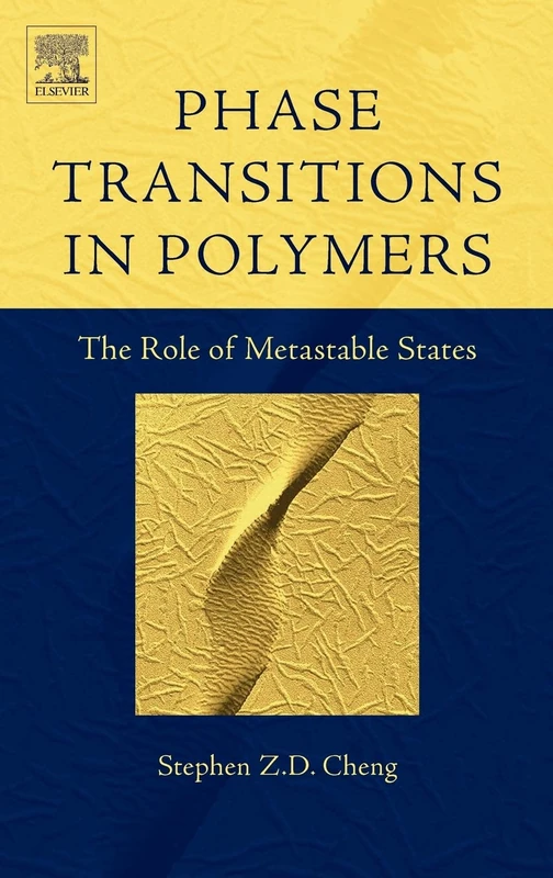 Phase Transitions in Polymers: The Role of Metastable States