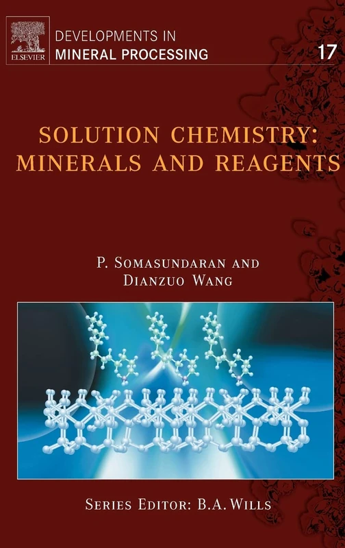 Solution Chemistry: Minerals and Reagents (Volume 17) (Developments in Mineral Processing, Volume 17)