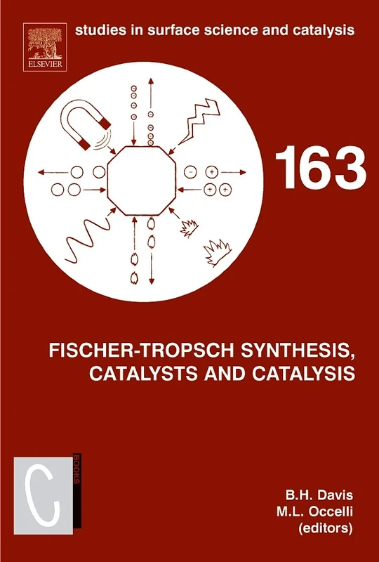 Fischer-Tropsch Synthesis, Catalysts and Catalysis (Volume 163) (Studies in Surface Science and Catalysis, Volume 163)