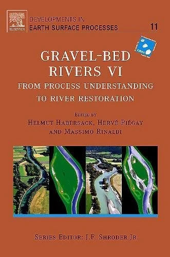 Elsevier Gravel Bed Rivers 6 - River Restoration Book - Image 1
