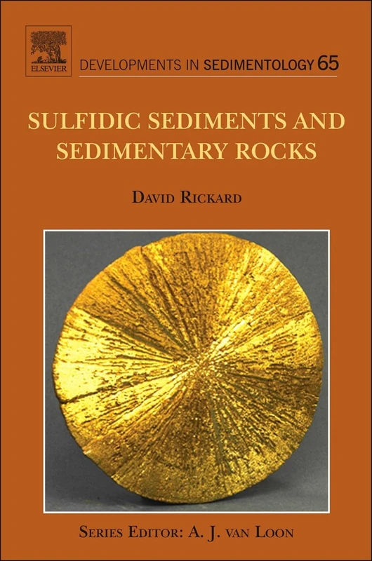 Sedimentary Sulfides (Developments in Sedimentology): Volume 65