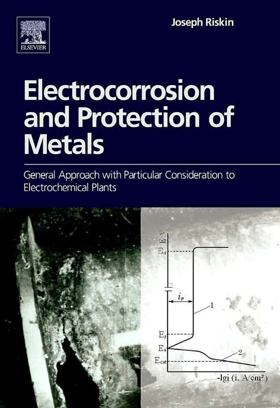 Electrocorrosion and Protection of Metals: General approach with particular consideration to electrochemical plants: General Approach with Particular Consideration to Electrochemical Plants