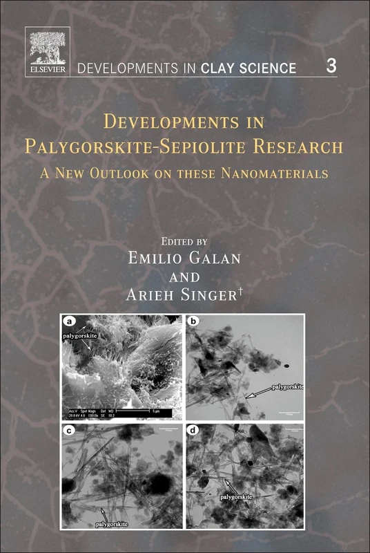 Developments in Palygorskite-Sepiolite Research: A New Outlook on these Nanomaterials (Volume 3) (Developments in Clay Science, Volume 3)