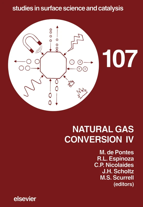 Natural Gas Conversion IV