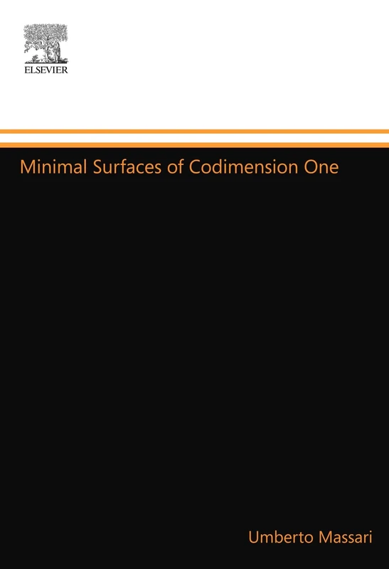 Minimal Surfaces of Codimension One