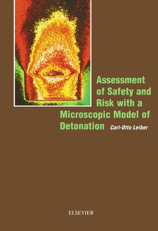 Assessment of Safety and Risk with a Microscopic Model of Detonation