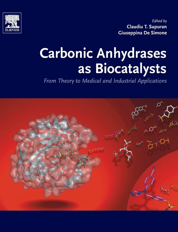 The Carbonic Anhydrases as Biocatalysts: From Theory to Medical and Industrial Applications