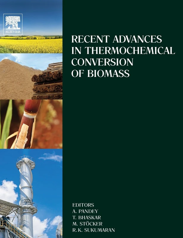 Recent Advances in Thermo-Chemical Conversion of Biomass