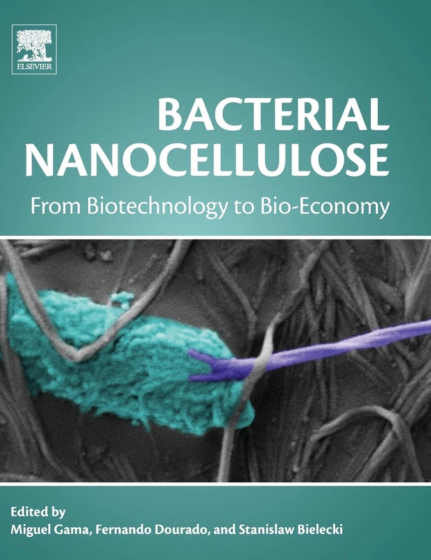 Bacterial Nanocellulose: From Biotechnology to Bio-Economy