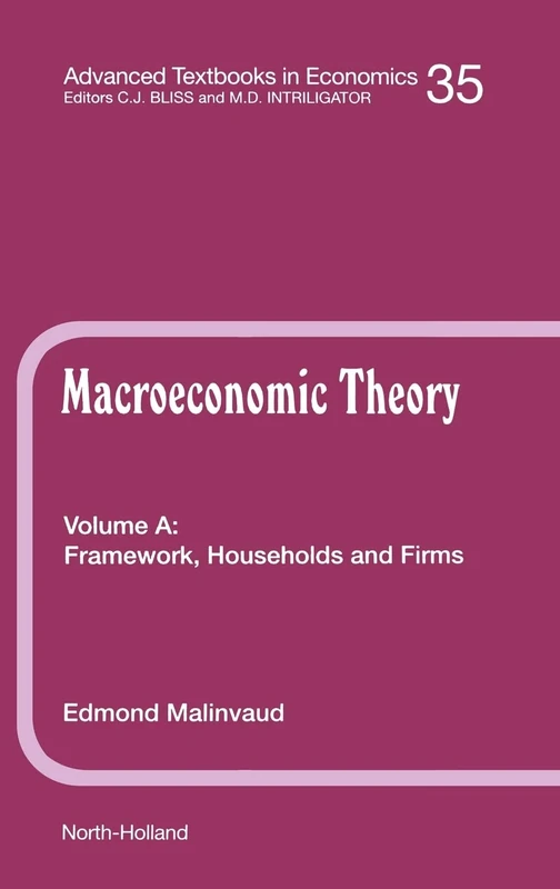 Framework, Households and Firms (Volume 35A) (Advanced Textbooks in Economics, Volume 35A)