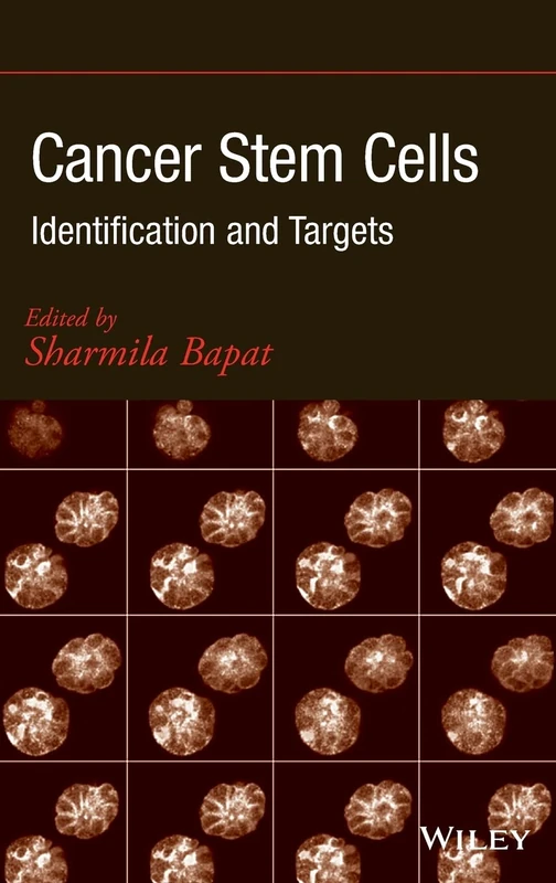 Cancer Stem Cells: Identification and Targets