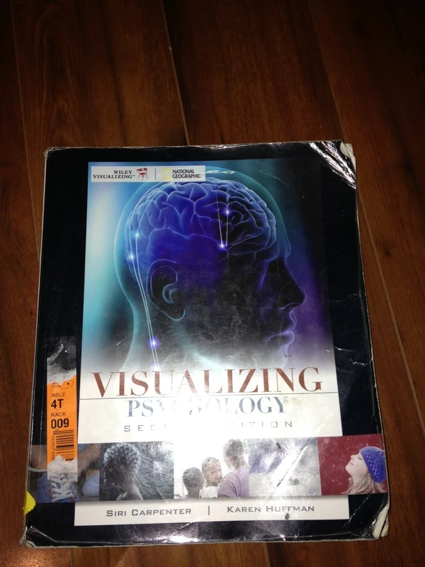 Visualizing Psychology (Visualizing Series)