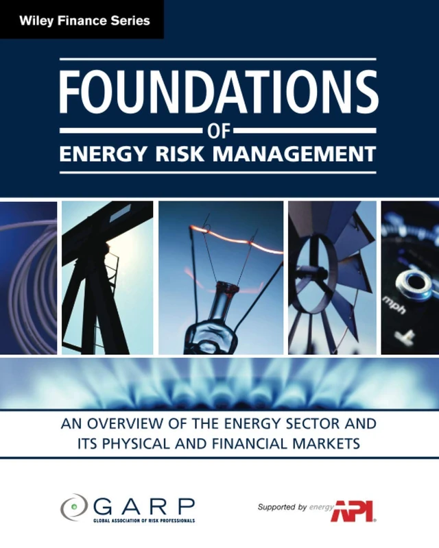 Foundations of Energy Risk Management: An Overviewof the Energy Sector and Its Physical and Financial Markets: 512 (Wiley Finance)