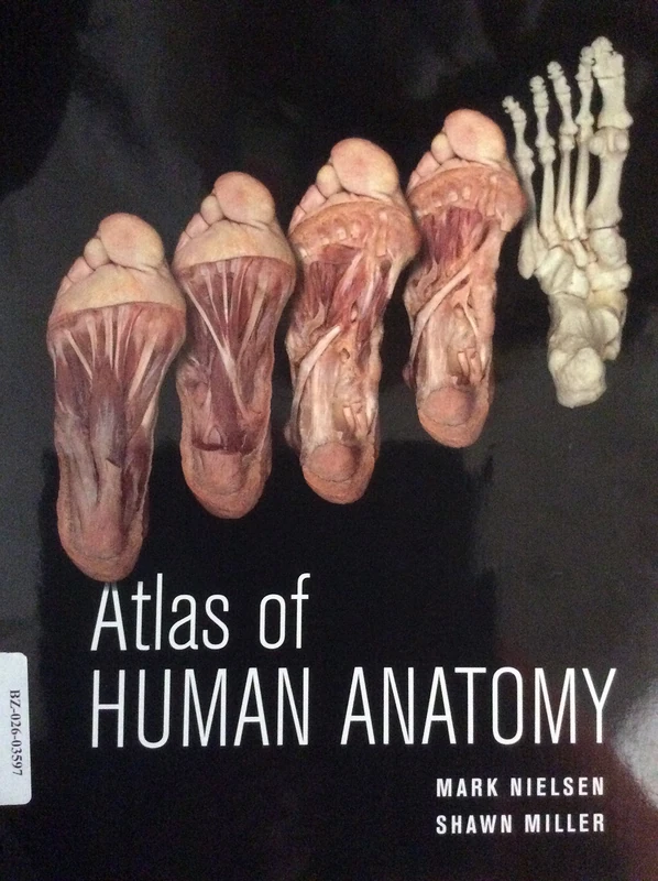 Atlas of Human Anatomy - Image 1