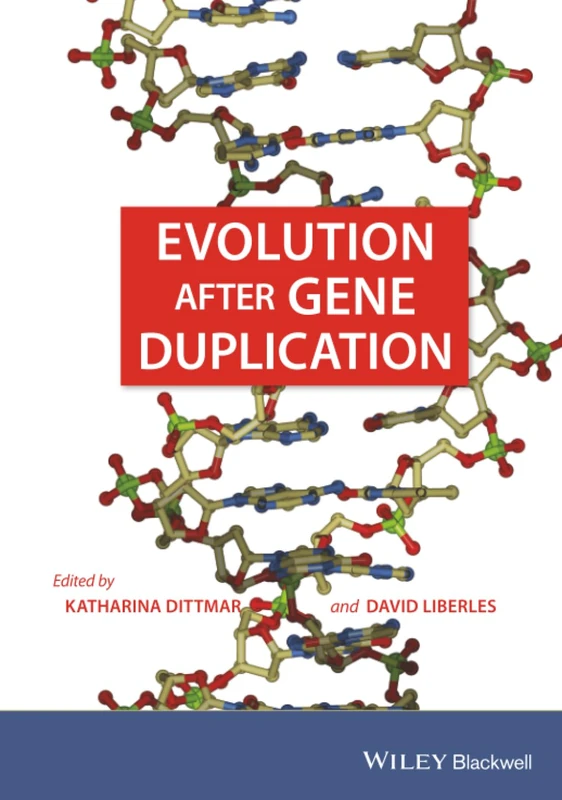 Evolution after Gene Duplication