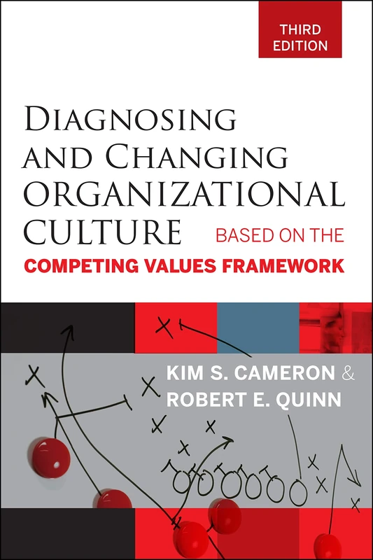 Diagnosing and Changing Organizational Culture, Third Edition: Based on the Competing Values Framework