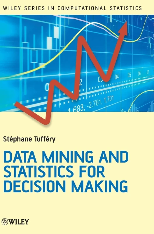 Data Mining and Statistics for Decision Making: 716 (Wiley Series in Computational Statistics)