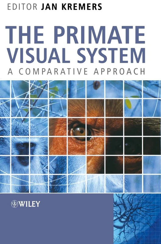 The Primate Visual System: A Comparative Approach