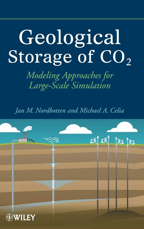 Geological Storage of CO2: Modeling Approaches for Large-Scale Simulation
