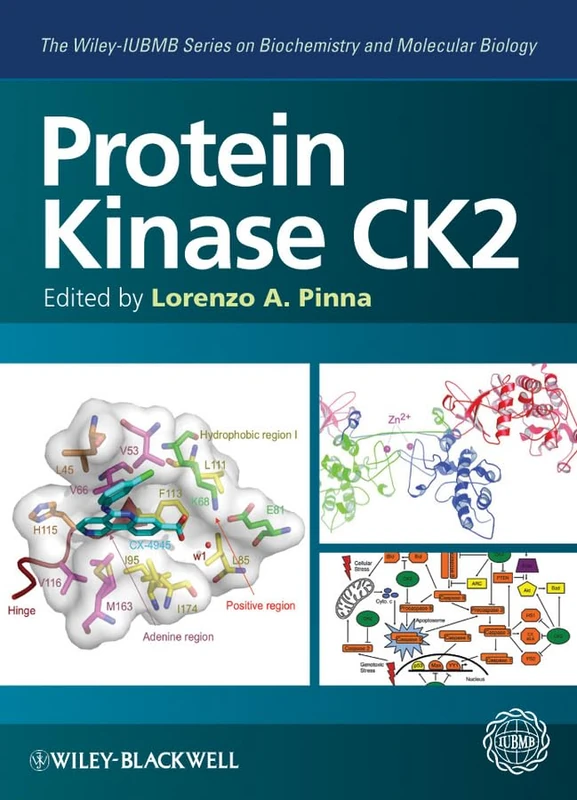 Protein Kinase CK2: 2 (The Wiley-IUBMB Series on Biochemistry and Molecular Biology)