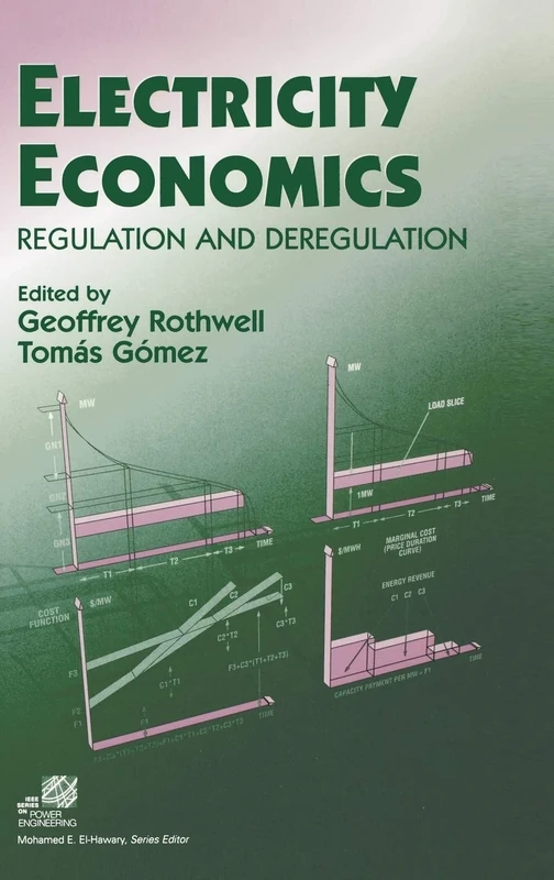 Electricity Economics: Regulation and Deregulation (IEEE Press Series on Power and Energy Systems)