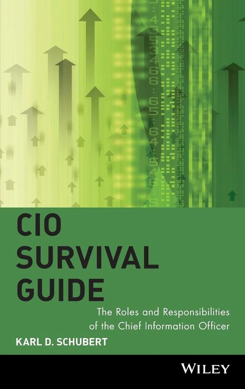 CIO Survival Guide: The Roles and Responsibilities of the Chief Information Officer - Image 1