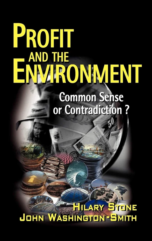 Profit and the Environment: Common Sense or Contradiction?: 1 (Society of Investment Professions)