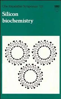Silicon Biochemistry: Symposium Proceedings (Novartis Foundation Symposia) - Image 1