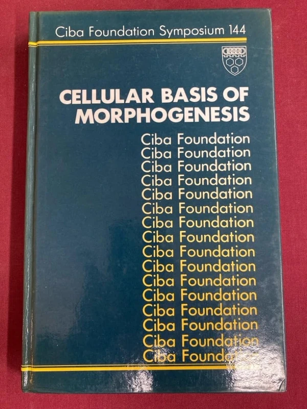 Cellular Basis of Morphogenesis: 144 (Novartis Foundation Symposia)