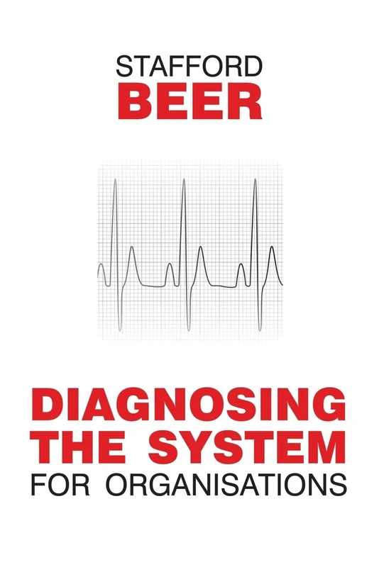 Diagnosing the System for Organizations: 6 (Classic Beer Series)