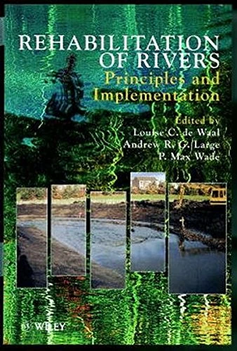Rehabilitation of Rivers: Principles and Implementation (Landscape Ecology Series)