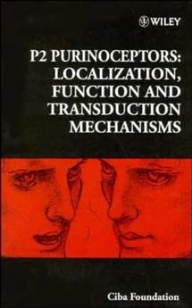 P2 Purinoceptors: Localization, Function and Transduction Mechanisms: v. 198 (Novartis Foundation Symposia) - Image 1