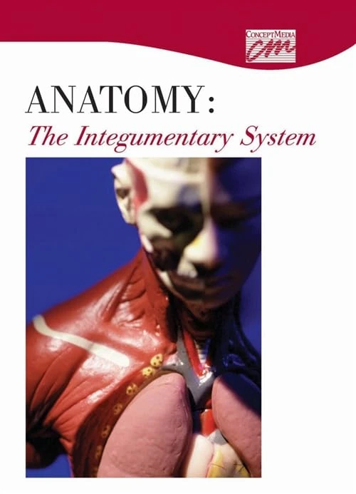 Anatomy: The Integumentary System (DVD)