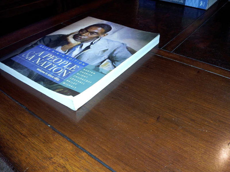 A People and a Nation: A History of the United States, Brief Edition, Volume II: Since 1865: 2