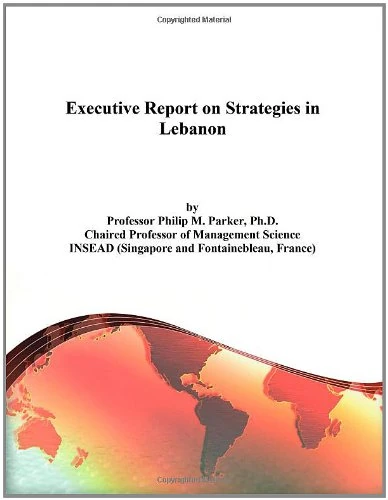 Executive Report on Strategies in Lebanon