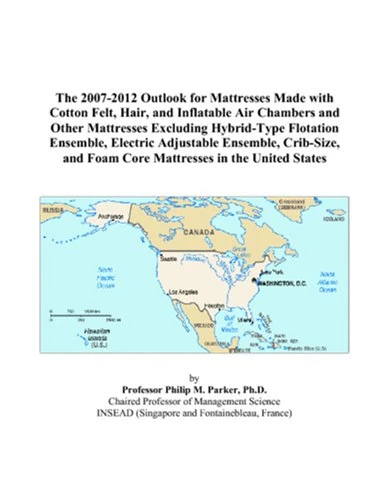 The 2007-2012 Outlook for Mattresses Made with Cotton Felt, Hair, and Inflatable Air Chambers and Other Mattresses Excluding Hybrid-Type Flotation ... and Foam Core Mattresses in the United States