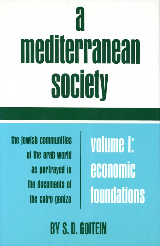 Mediterranean Society V 1: The Jewish Communities of the Arab World as Portrayed in the Documents of the Cairo Geniza, Economic Foundations: 6 (Near Eastern Center, UCLA)