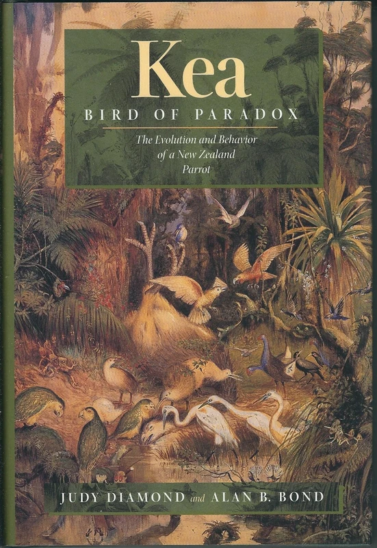 Kea, Bird of Paradox: The Evolution and Behavior of a New Zealand Parrot - Image 1