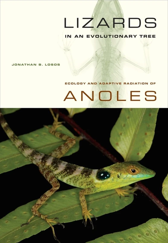 Lizards in an Evolutionary Tree – Ecology and Adaptive Radiation of Anoles: 10 (Organisms and Environments)