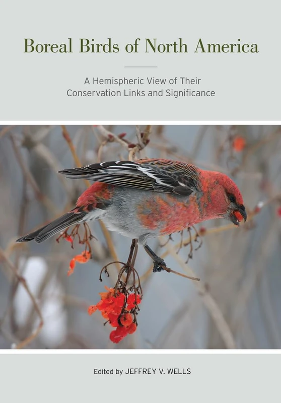 Boreal Birds of North America: A Hemispheric View of Their Conservation Links and Significance (Studies in Avian Biology): 41