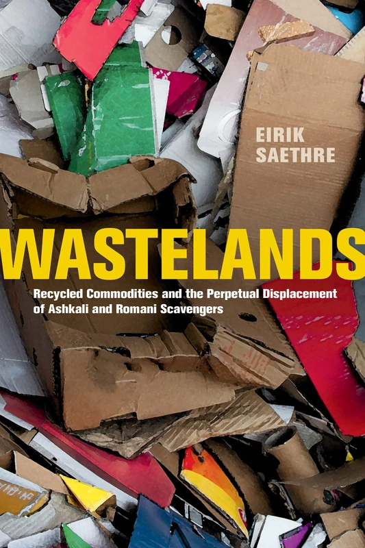 Wastelands: Recycled Commodities and the Perpetual Displacement of Ashkali and Romani Scavengers - Image 1