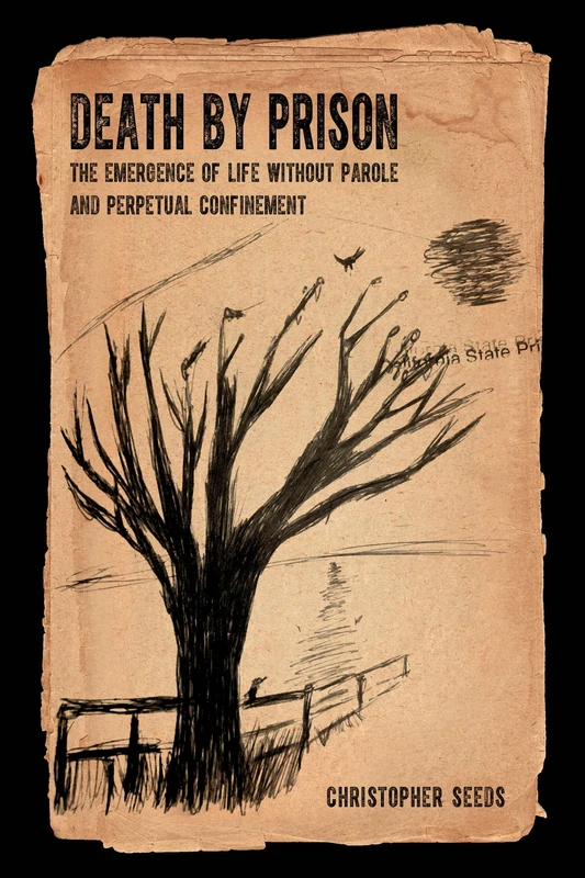 Death by Prison: The Emergence of Life without Parole and Perpetual Confinement - Image 1