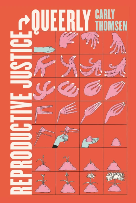 Reproductive Justice, Queerly: 16 (Reproductive Justice: A New Vision for the 21st Century)