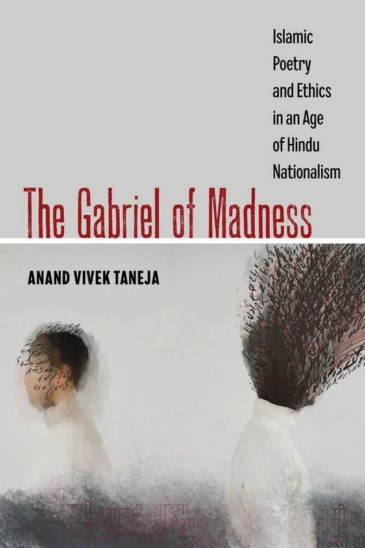 The Gabriel of Madness: Islamic Poetry and Ethics in an Age of Hindu Nationalism: 7 (Islamic Humanities)